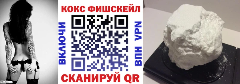 где можно купить   Кузнецк  Кокаин Fish Scale 