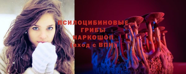 mix Богородицк