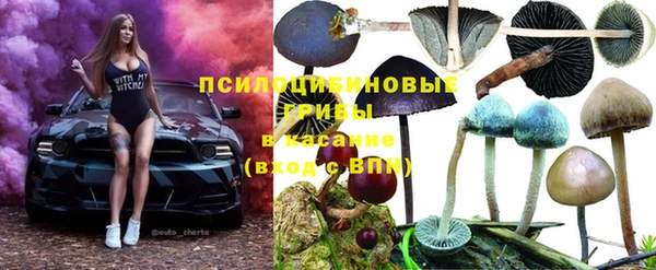 СК Беломорск