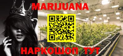 a pvp Кингисепп