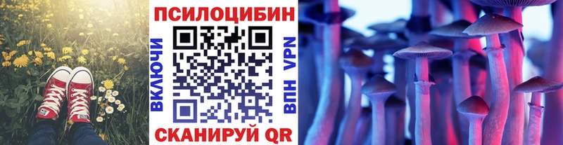 купить наркотики сайты нарко площадка Telegram Галлюциногенные грибы прущие грибы Кузнецк
