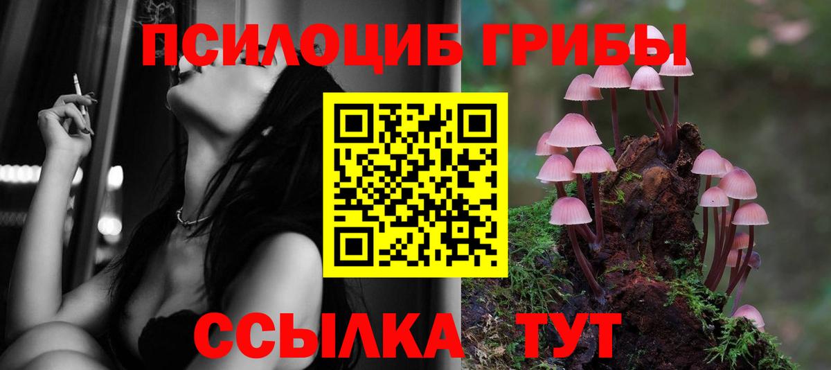 Галлюциногенные грибы GOLDEN TEACHER Кузнецк