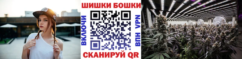 Каннабис план  как найти закладки  Кузнецк 